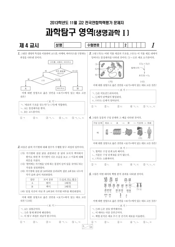 2013년 11월 고2 학평(경기) 생명과학I