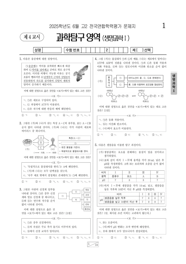 2025년 6월 고2 과학탐구 생명과학 I