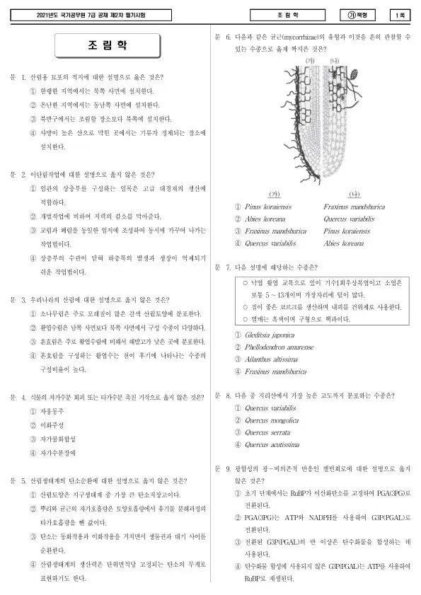 2021년 국가공무원 7급 2차 조림학 (가)